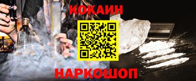 крисы Моздок