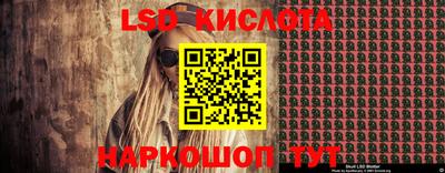 крисы Моздок