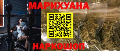 крисы Моздок