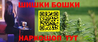 крисы Моздок
