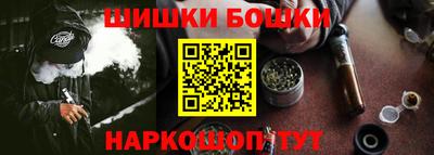 крисы Моздок