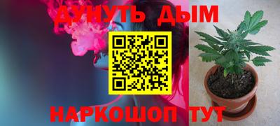 крисы Моздок