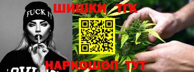 крисы Моздок