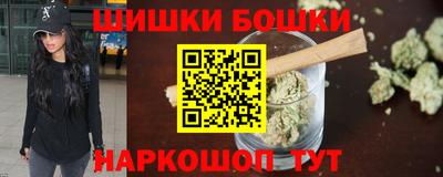 крисы Моздок
