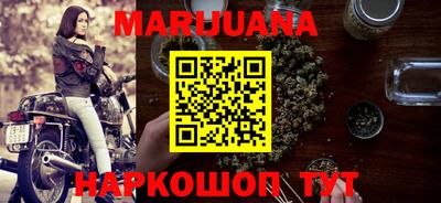 крисы Моздок
