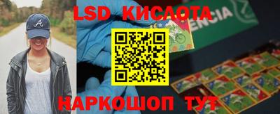 крисы Моздок