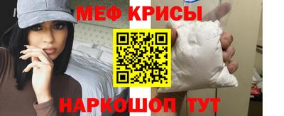 крисы Моздок
