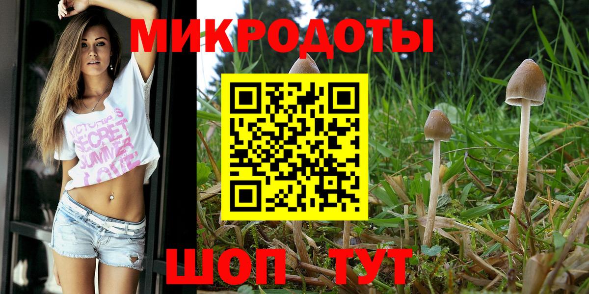 Галлюциногенные грибы мухоморы Пенза
